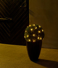 Buxbom LED Ø37 cm Stemning